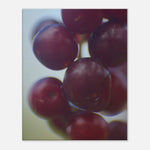 0ae10b3c-0197-4390-874c-8a15545344a6
