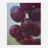 0ae10b3c-0197-4390-874c-8a15545344a6
