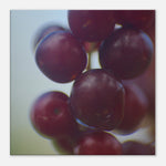 0c788613-3962-4cbf-b63d-e61b0a88ed24