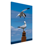 13aefdf8-583f-44fe-a447-2d080343d6f5