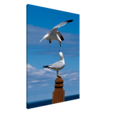 13aefdf8-583f-44fe-a447-2d080343d6f5