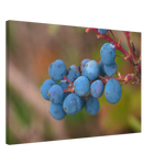 18a9366b-700a-46bc-8653-3f982b036aaf