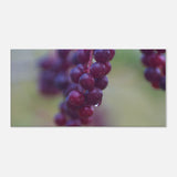 1d478e40-1bea-47c0-80fb-e11fd0dc3c37