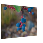 25f21b0e-2e39-45bb-ad7b-128237521fc3
