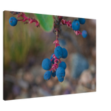 25f21b0e-2e39-45bb-ad7b-128237521fc3