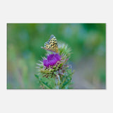 41bb265a-87e3-4972-880b-3b89df767617