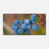 5d6429ed-0be5-4134-b657-51b0e6d789bc