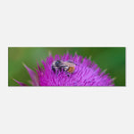 64d062bb-a61e-4cd3-ae75-cc88a231c8c2