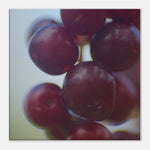 655bb3ac-e7e7-480b-a66f-d58bd0093efe