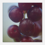 655bb3ac-e7e7-480b-a66f-d58bd0093efe