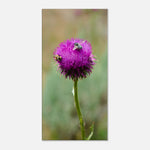 6d4beace-6364-4048-abee-fdae20e5a314
