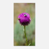 6d4beace-6364-4048-abee-fdae20e5a314