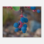 85ab9016-9767-41dc-ab95-ae2dbb78ed3b