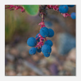 8c092bb2-b6f4-4451-8f34-fc8b7609c585
