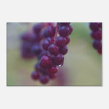 a8094f66-dd61-40a7-84f7-ca6028704bff