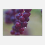 bec7c3b0-dc8c-47ea-808b-0cd36529d36e