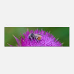 d1c79405-08df-4f1d-9796-40fc198caa36