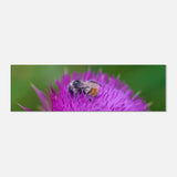 d1c79405-08df-4f1d-9796-40fc198caa36