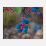 d3d78753-5474-417e-856f-a9ff2852f577