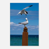 d3dfa9e1-4c00-4589-a1ed-729a81a7a6de