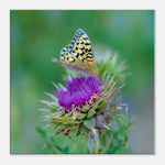 d71dbe25-5daa-466b-aea2-154ad46784a3